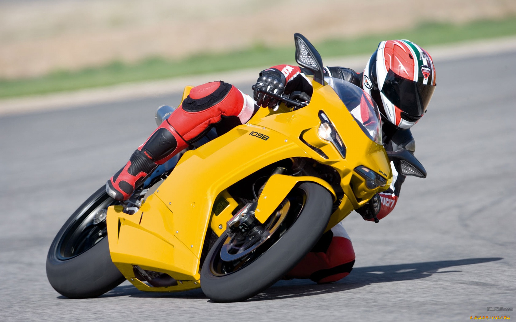 ducati, 1098r, 